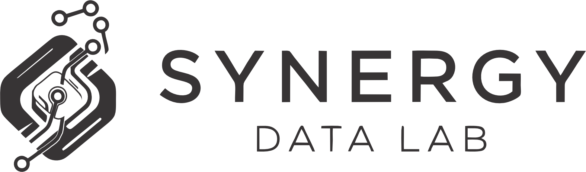 Synergy Data Lab
